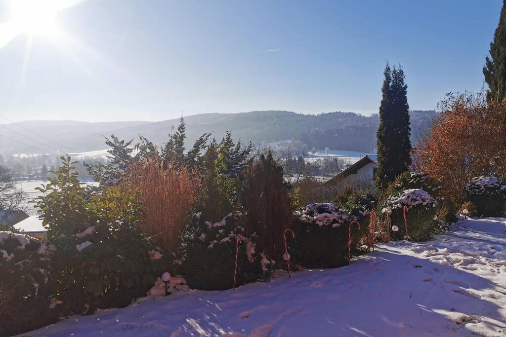 Chalet Bambi Blaibach Exterior foto